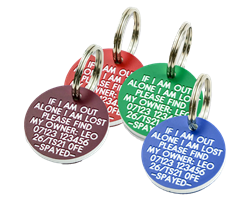 Acrylic collar tags